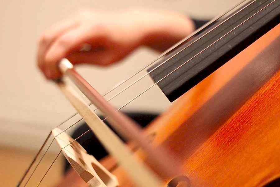İzmir Çello Kursu
