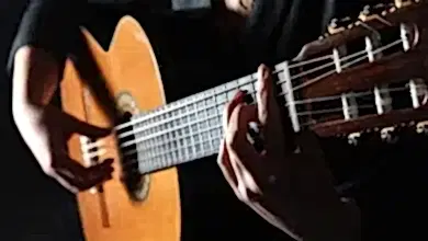 🎸 Buca Gitar Kursu