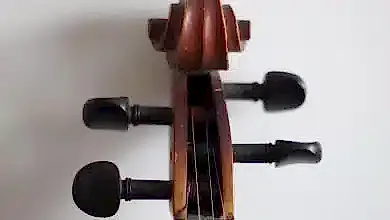 Keman Burgusu Hakkında Merak Edilenler