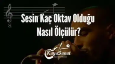 Sesin Kaç Oktav Olduğu Nasıl Ölçülür?