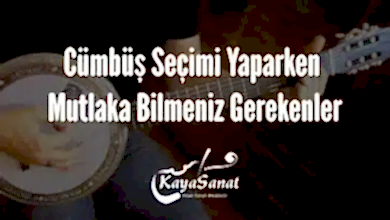 Cümbüş Seçimi Yaparken Mutlaka Bilmeniz Gerekenler