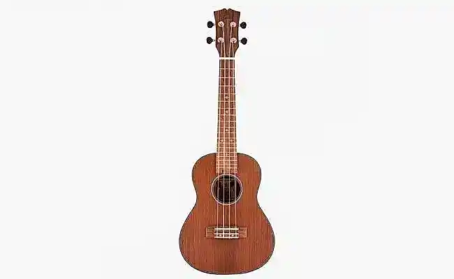 Online Ukulele Kursu
