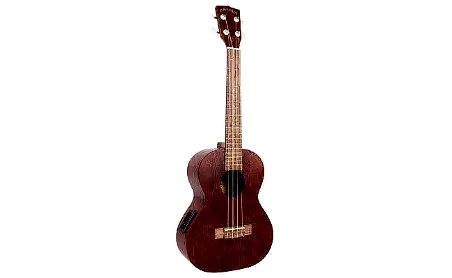 Online Ukulele Kursu