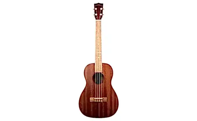 Online Ukulele Kursu