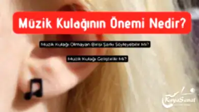 Müzik Kulağının Önemi Nedir?